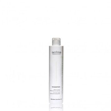 Envie SPECIFIC SEBUM CONTROL Shampoo Балансуючий шампунь з очищуючими інгредієнтами 250 мл ENV069 фото